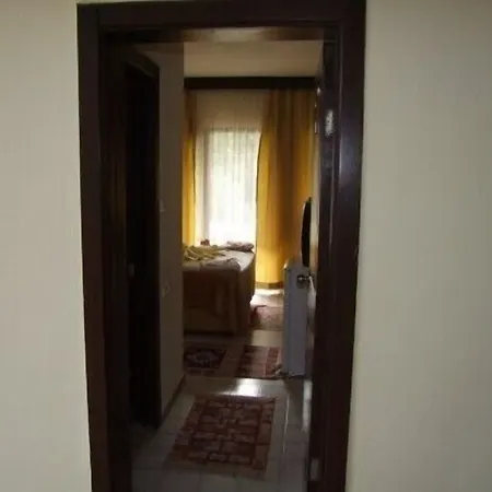 Murat 4*